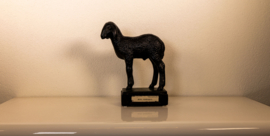 Schaap Lam Karakul .