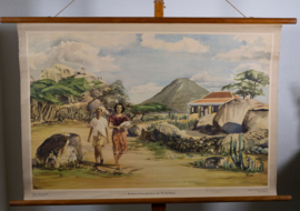 Arubaans Koenoekoehuis met de hooiberg