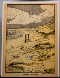 Duinen Zeezijde