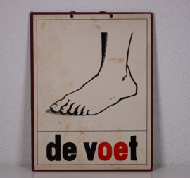 De voet