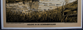 Molens in de Schermerpolder