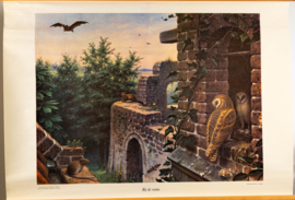 Bij de ruine