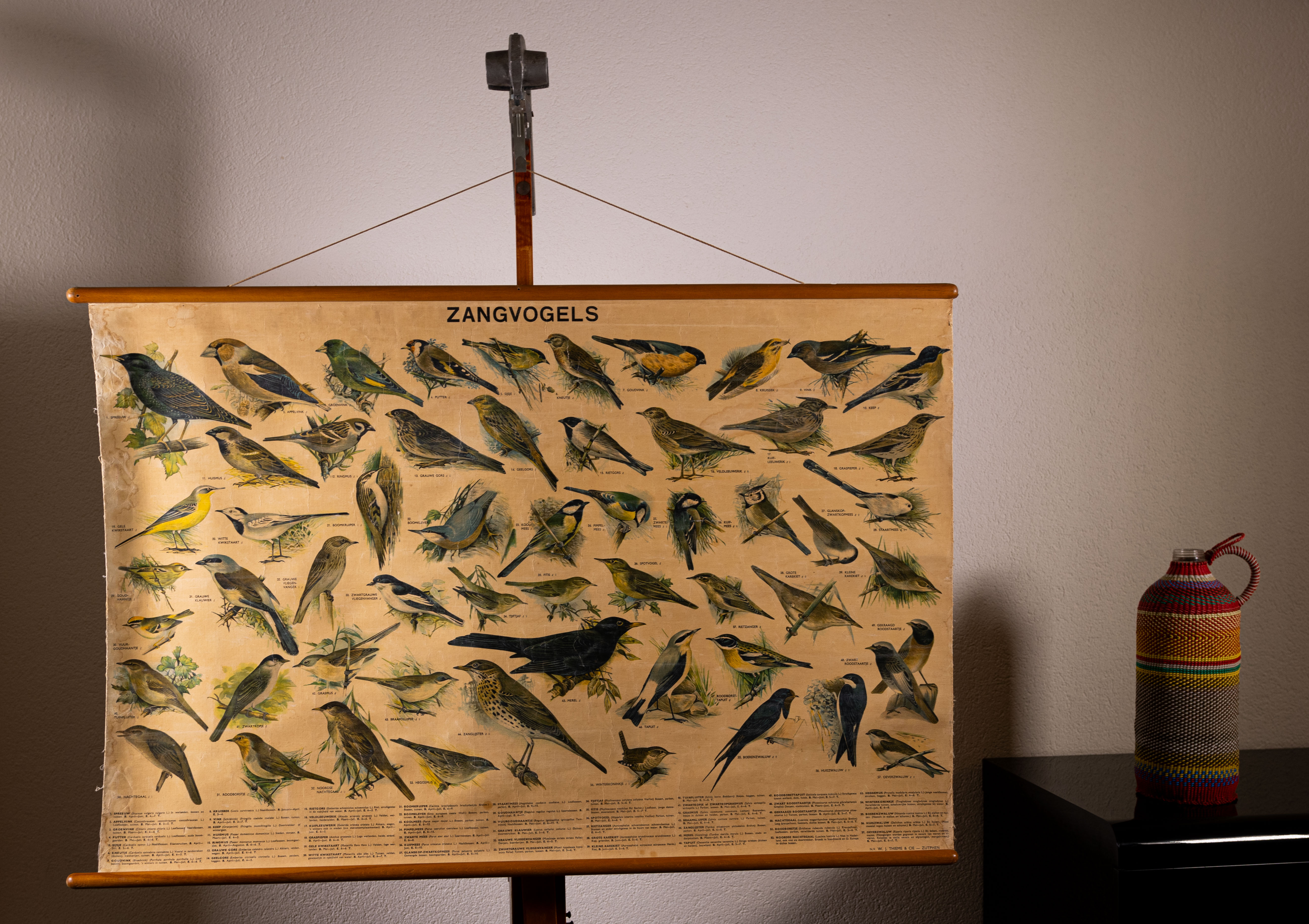 Zangvogels