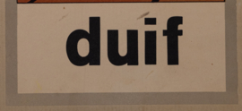 16 Duif
