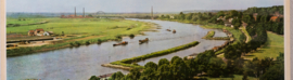 De Rijn