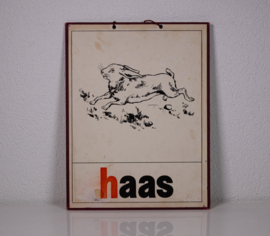 Haas