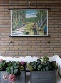 Bomen hakken Houthakker Bosbouw