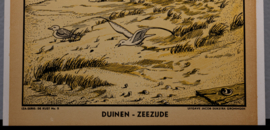 Duinen Zeezijde