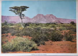 Tafelberg Kalahari