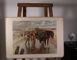 Het schelpenvisschen