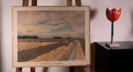 Heideontginning in Noord Brabant