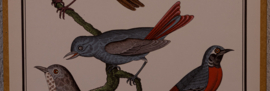 Vogelplaatje 4 Litho
