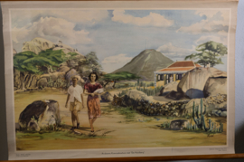 Arubaans Koenoekoehuis met de hooiberg