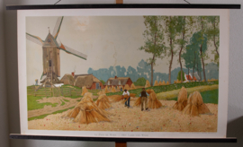 Het land van Waas