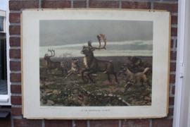In de Siberische vlakte