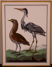 Vogelplaatje 1 Litho