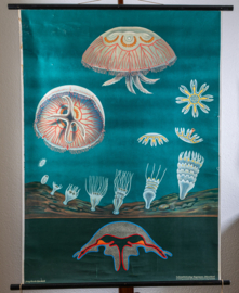 Kwal Litho