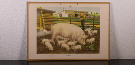 Varkens