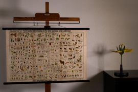 Schadelijke insecten