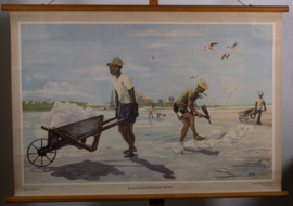 Zoutwinning bij het Pekelmeer Bonaire