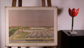 Groenteteelt bij Loosduinen 3