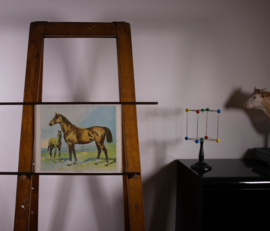 Paard en veulen