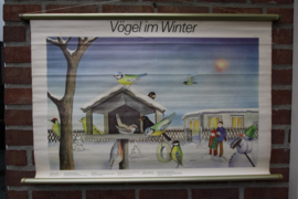 Vogels in de winter
