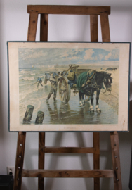 Het schelpenvisschen