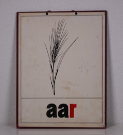 Aar