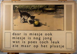 Daar is Miesje ook . De tuin hoort bij school. 2Zijdig