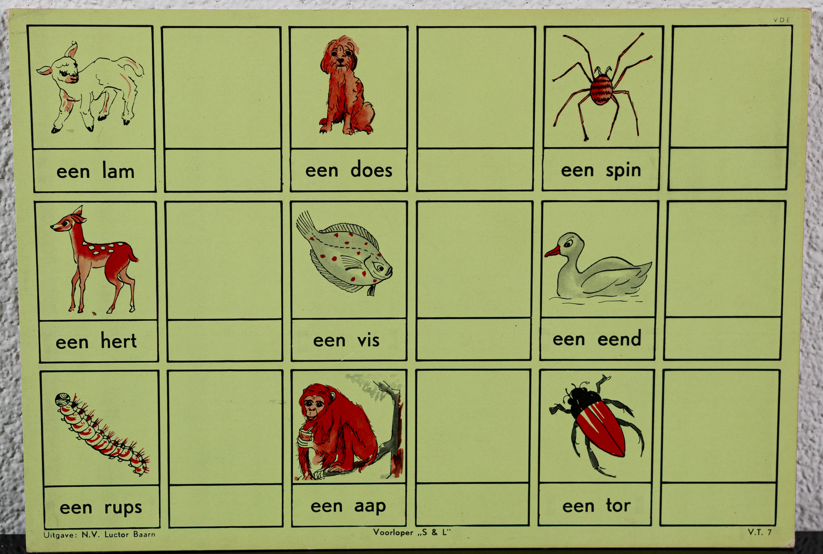 Leesplankje Luctor Baarn Een Lam  Een Does  Een Spin