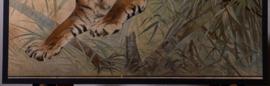 Tijger