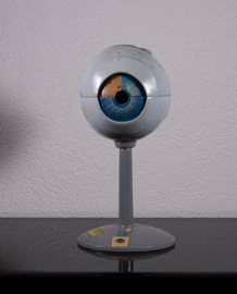OOG