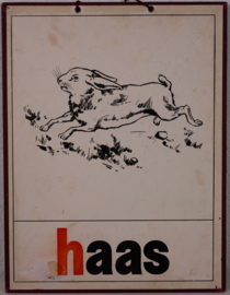 Haas