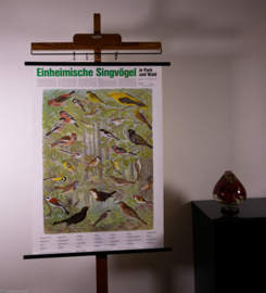Zangvogels oa Wielewaal en Goudvink
