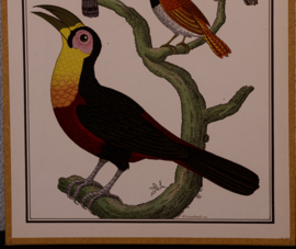 Vogelplaatje 3 Litho