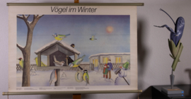 Vogels in de winter