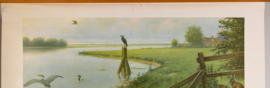 Aan de rivier