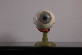 Oog 21 cm