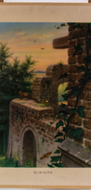 Bij de ruine - Zoetwatervissen