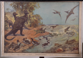 Prehistorie