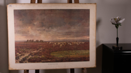 De Drentsche heide