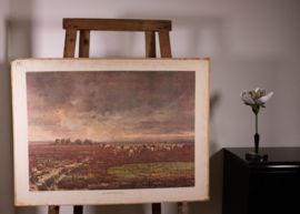 De Drentsche heide