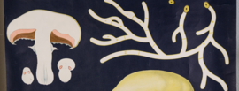 Champignon Litho
