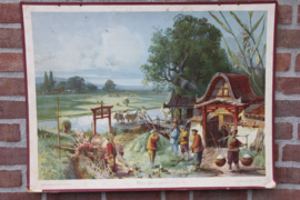 Rijstoogst