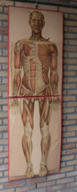 De Mensch