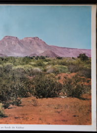 Tafelberg Kalahari