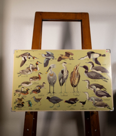 Watervogels