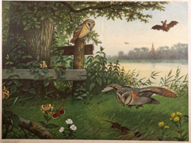 Vrienden der duisternis