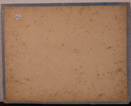 Schreiber  Haas Konijn